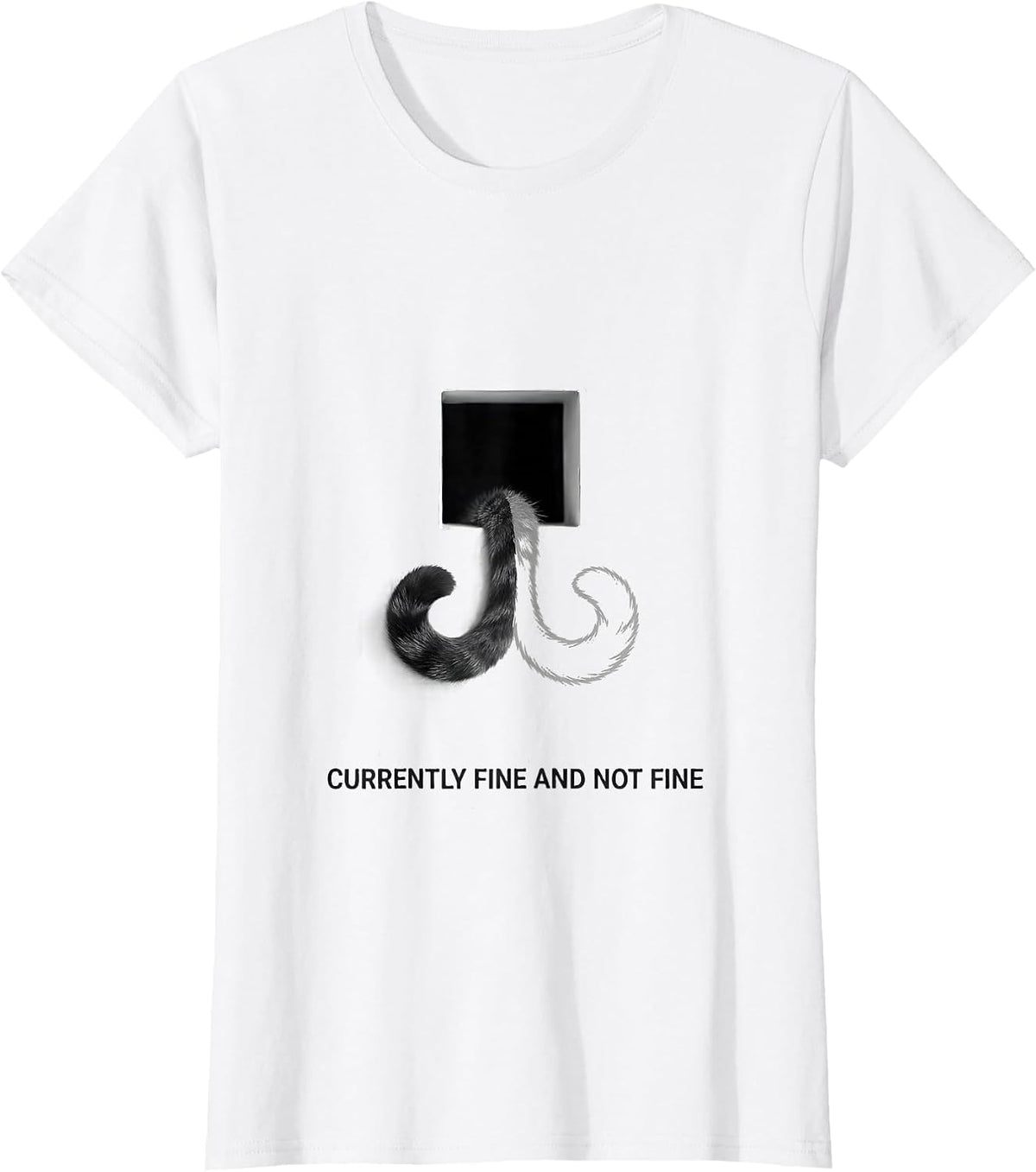 Women's Currently Fine And Not Fine Quantum Physics Humor Science T-Shirt - White