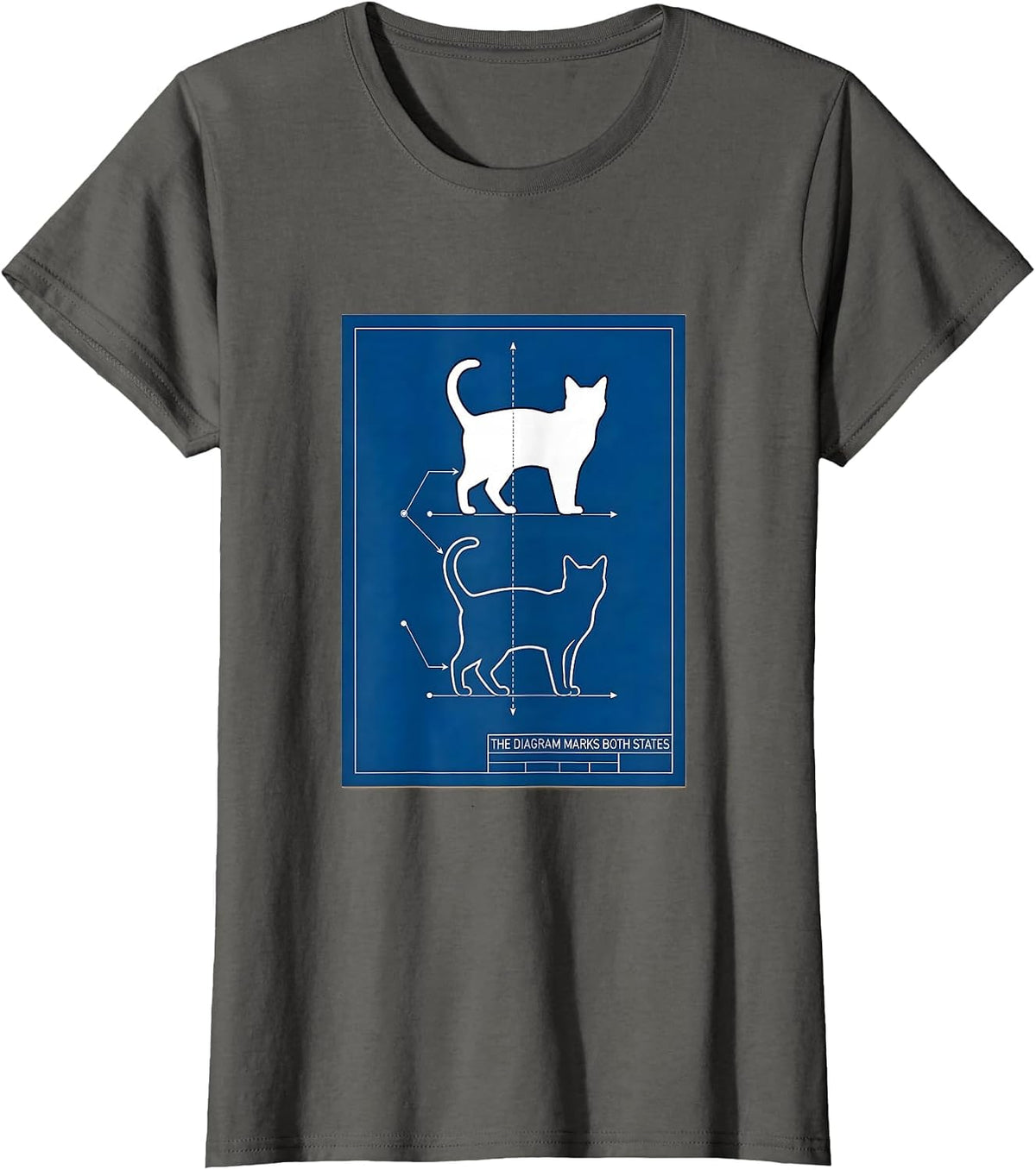 Women's The Diagram Marks Both States Technical Blueprint Physics T-Shirt - Asphalt Grey