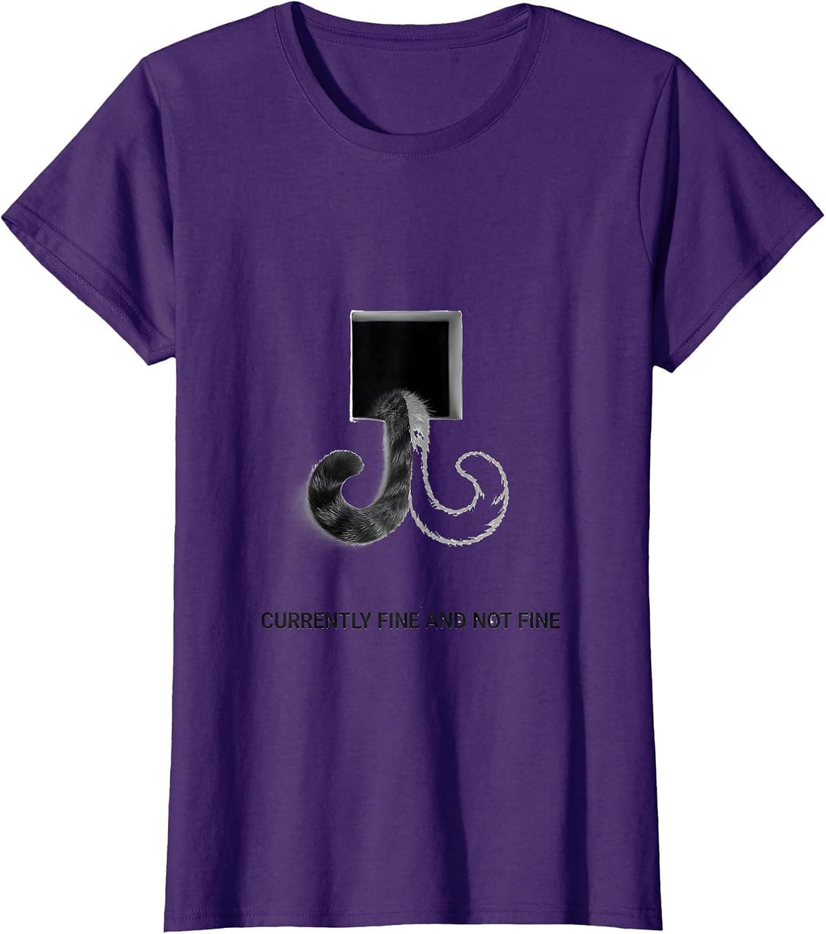 Women's Currently Fine And Not Fine Quantum Physics Humor Science T-Shirt - Purple