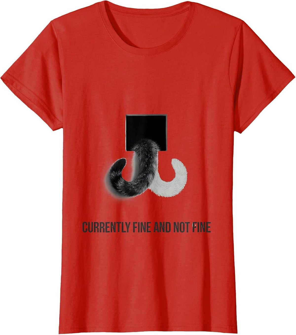 Women's Currently Fine And Not Fine Quantum Physics Humor Science T-Shirt - Red