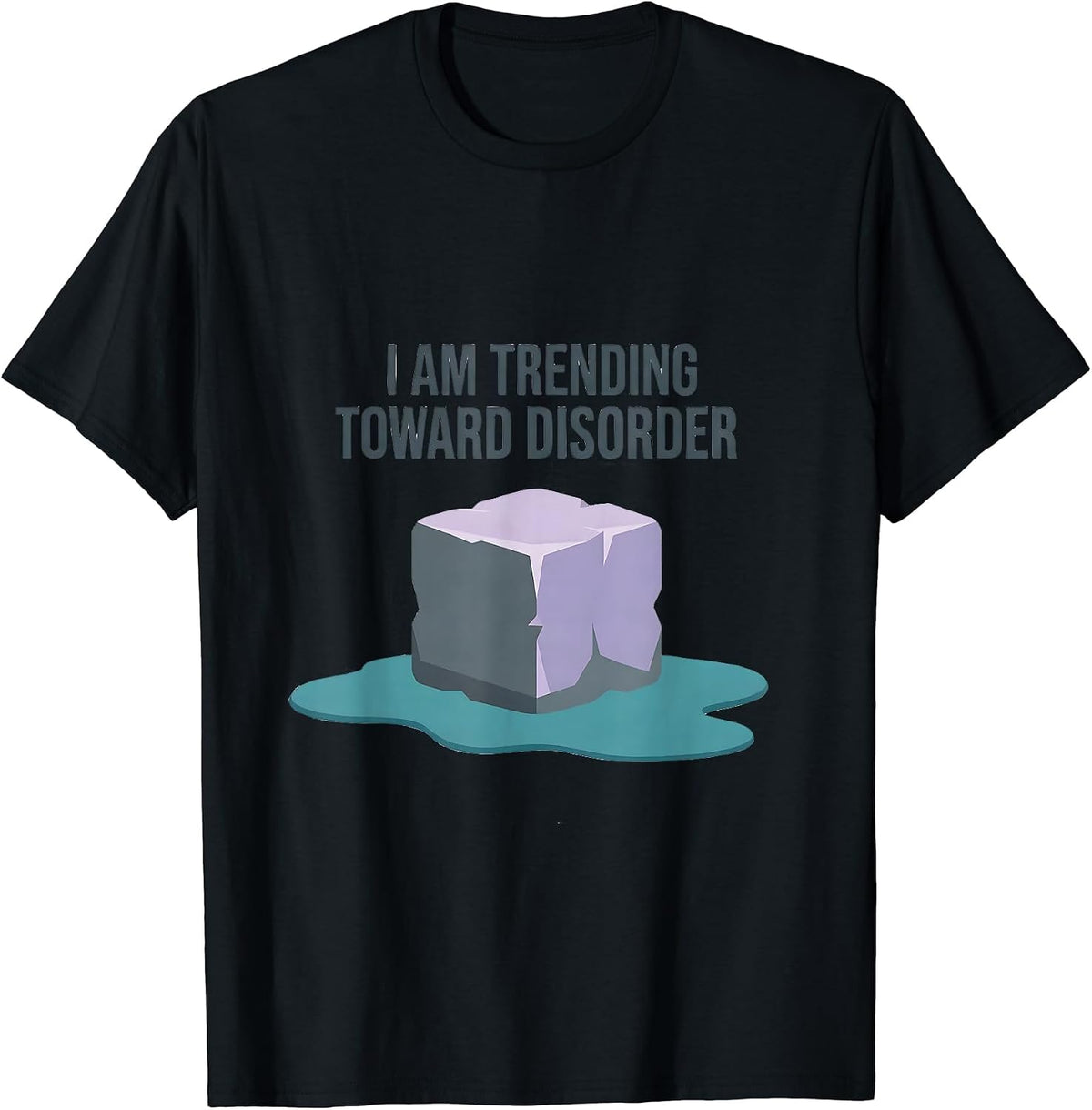 Men's I Am Trending Toward Disorder Funny Physics Pun Humor T-Shirt - Black