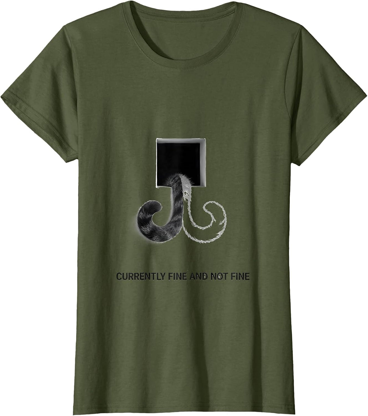 Women's Currently Fine And Not Fine Quantum Physics Humor Science T-Shirt - Olive Green