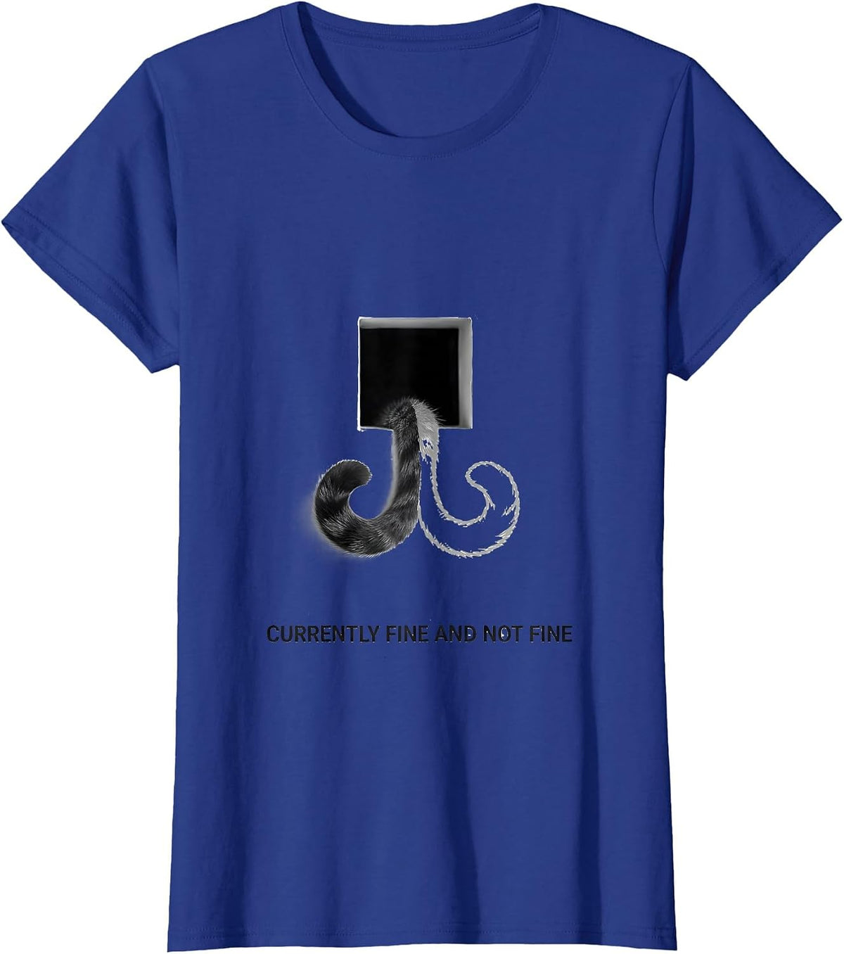 Women's Currently Fine And Not Fine Quantum Physics Humor Science T-Shirt - Royal Blue