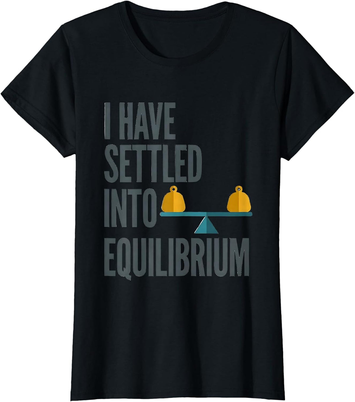 I Have Settled Into Equilibrium Funny Physics Pun Humor T-Shirt - Black