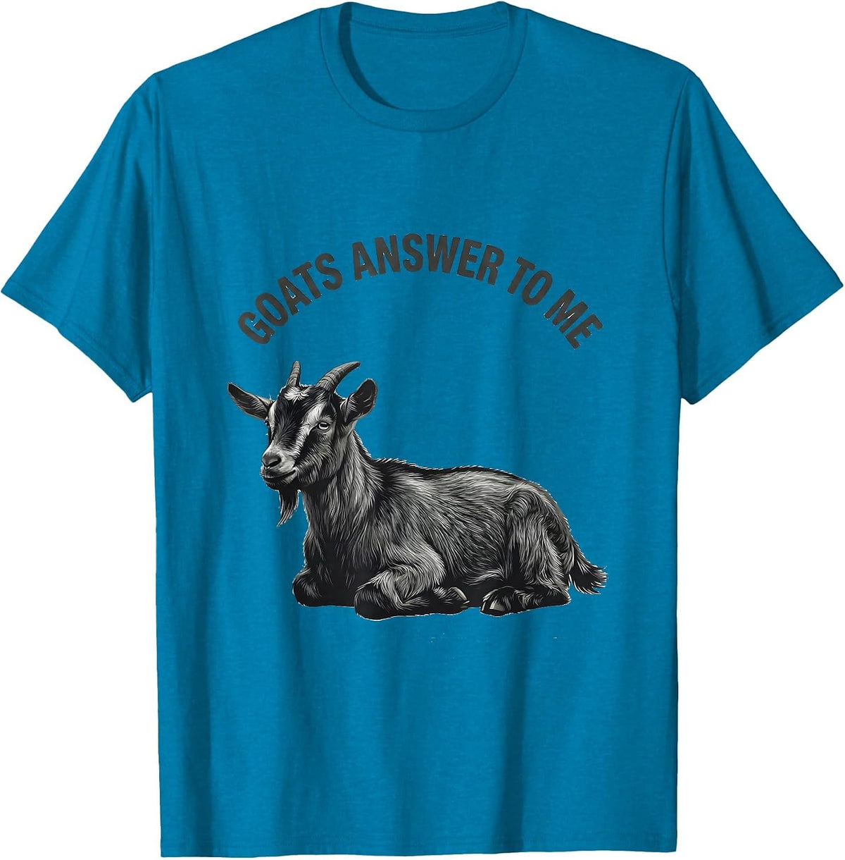 Goats Answer To Me Minimalist Goat Lover Gift T-Shirt - Sapphire Blue