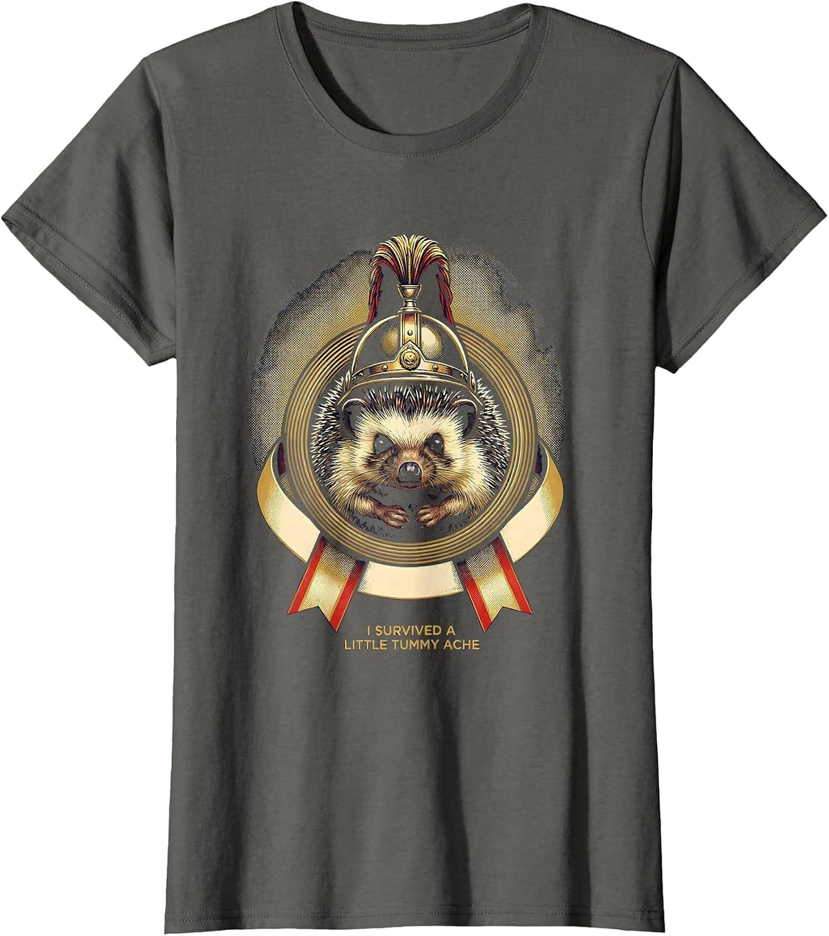 Women's I Survived A Little Tummy Ache Funny Hedgehog Meme Humor T-Shirt - Asphalt Grey