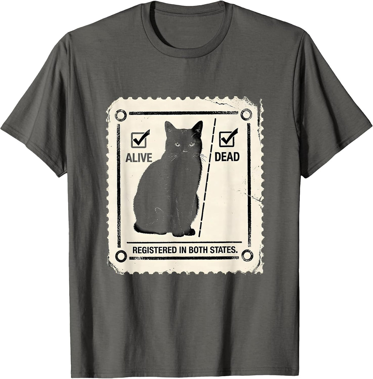 Registered In Both States Rubber Stamp Physics Nerd Humor T-Shirt - Asphalt Grey