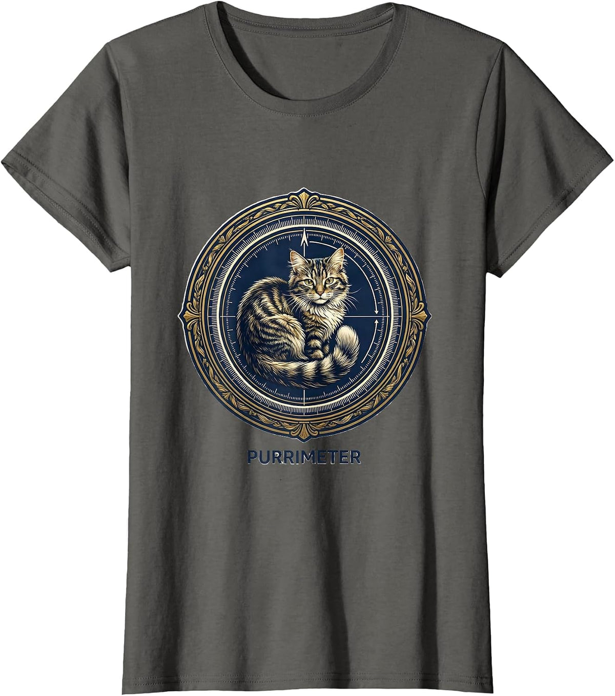 Women's Purrimeter Funny Cat Science Pun Math Teacher Student T-Shirt - Asphalt Grey