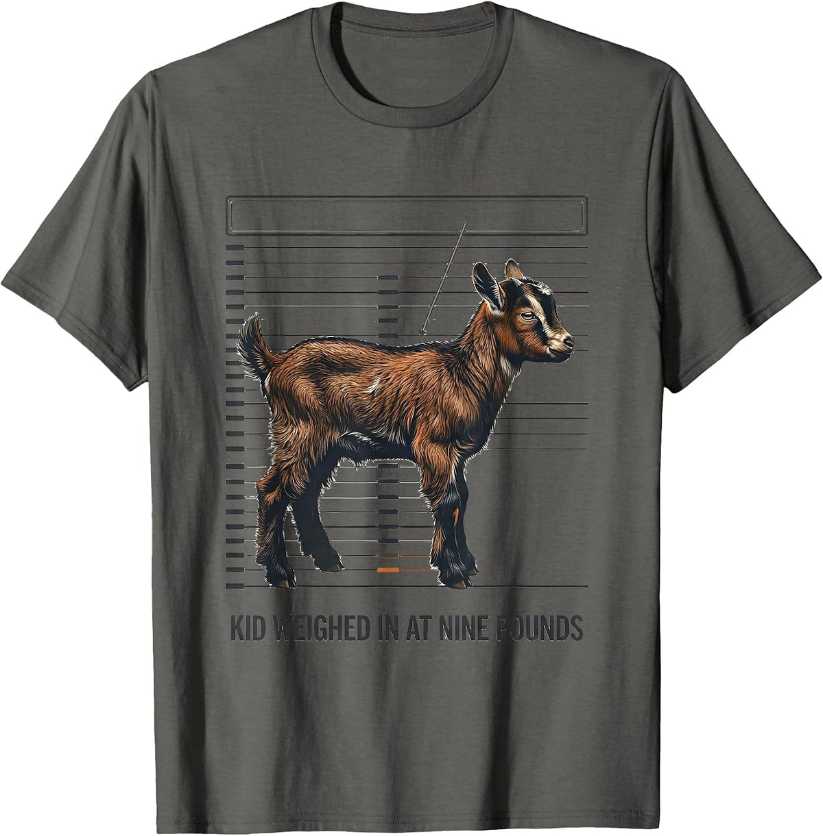 Kid Weighed In At Nine Pounds Funny Goat Lover Farmer Humor T-Shirt - Asphalt Grey