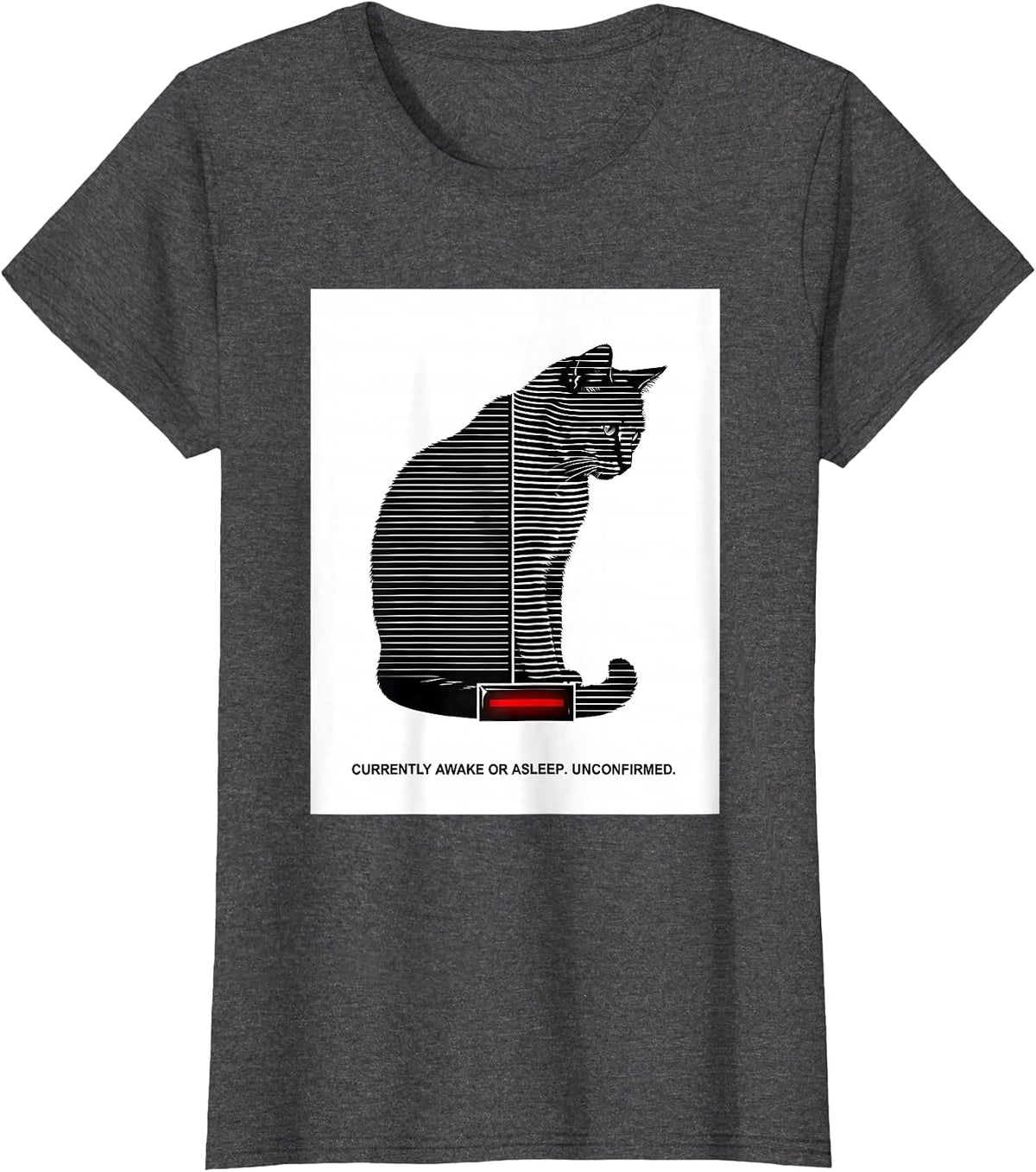 Women's Currently Awake Or Asleep Unconfirmed Quantum Physics Humor T-Shirt - Dark Heather Grey