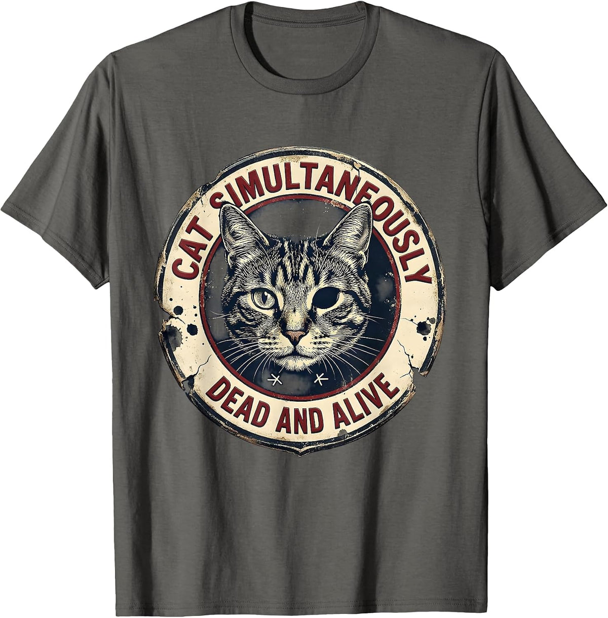 Cat Simultaneously Dead And Alive Vintage Quantum Physics T-Shirt - Asphalt Grey