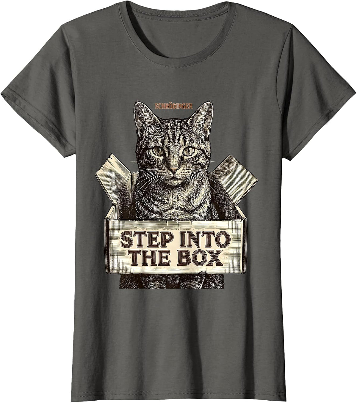 Women's Schrödinger, Step Into the Box Funny Quantum Physics Cat T-Shirt - Asphalt Grey