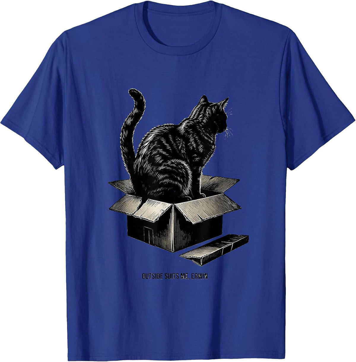 Outside Suits Me Erwin Funny Quantum Physics Science Lover T-Shirt - Royal Blue