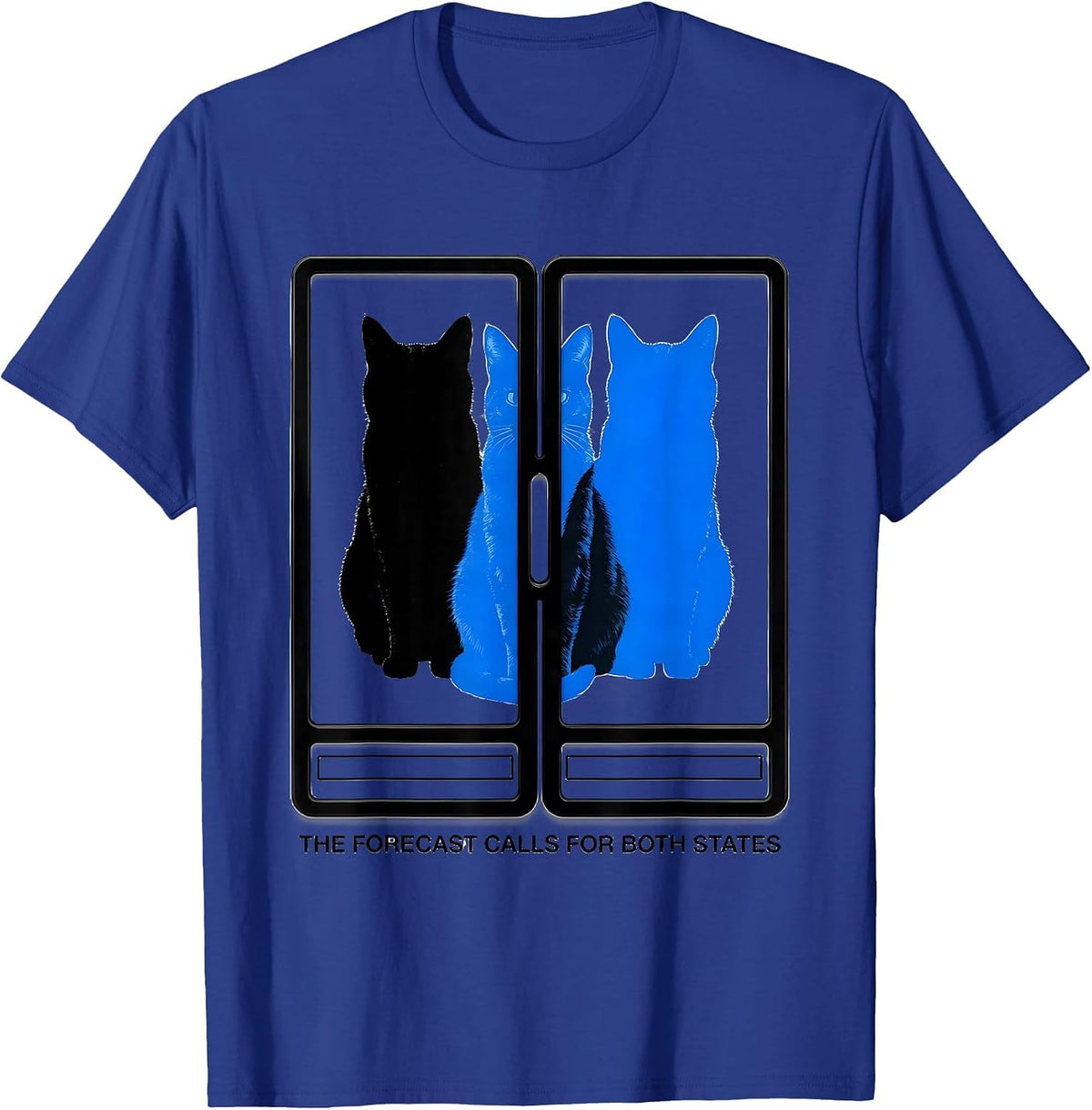 The Forecast Calls For Both States Funny Physics Nerd Cat T-Shirt - Royal Blue
