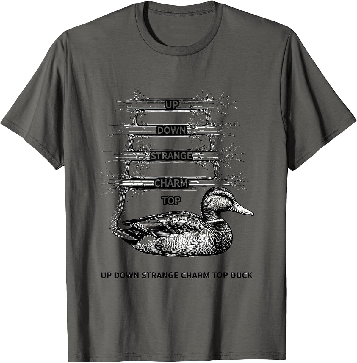 Up Down Strange Charm Top Duck Funny Physics Math Nerd Gift T-Shirt - Asphalt Grey