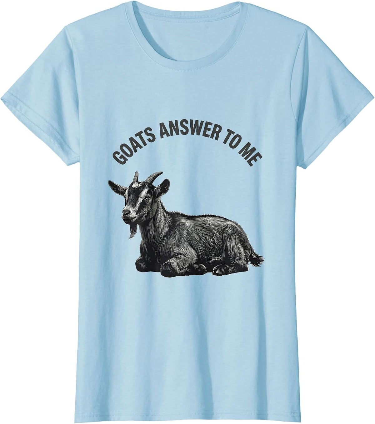 Goats Answer To Me Minimalist Goat Lover Gift T-Shirt - Baby Blue