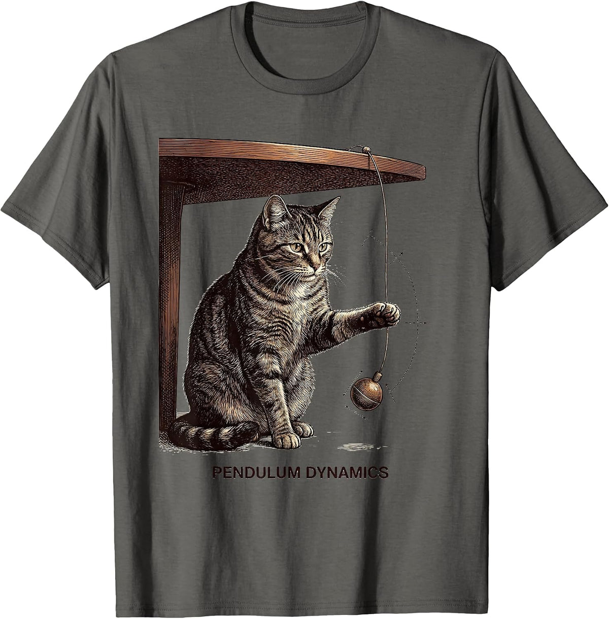 Pendulum Dynamics Funny Cat Physics Humor Science Teacher T-Shirt - Asphalt Grey