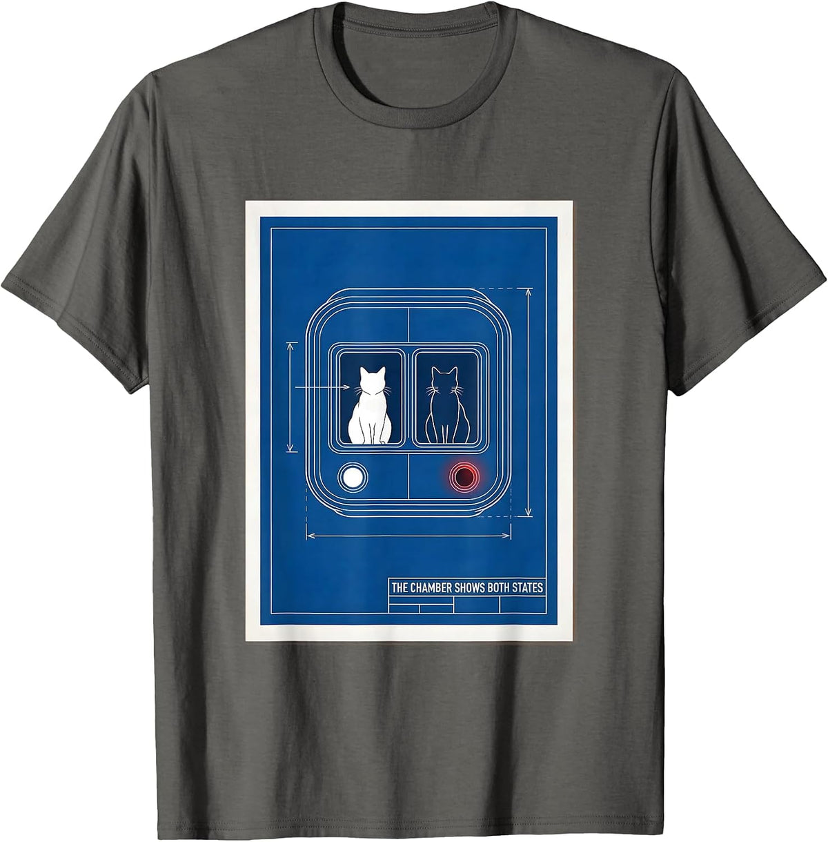 The Chamber Shows Both States Physics Nerd Humor T-Shirt - Asphalt Grey