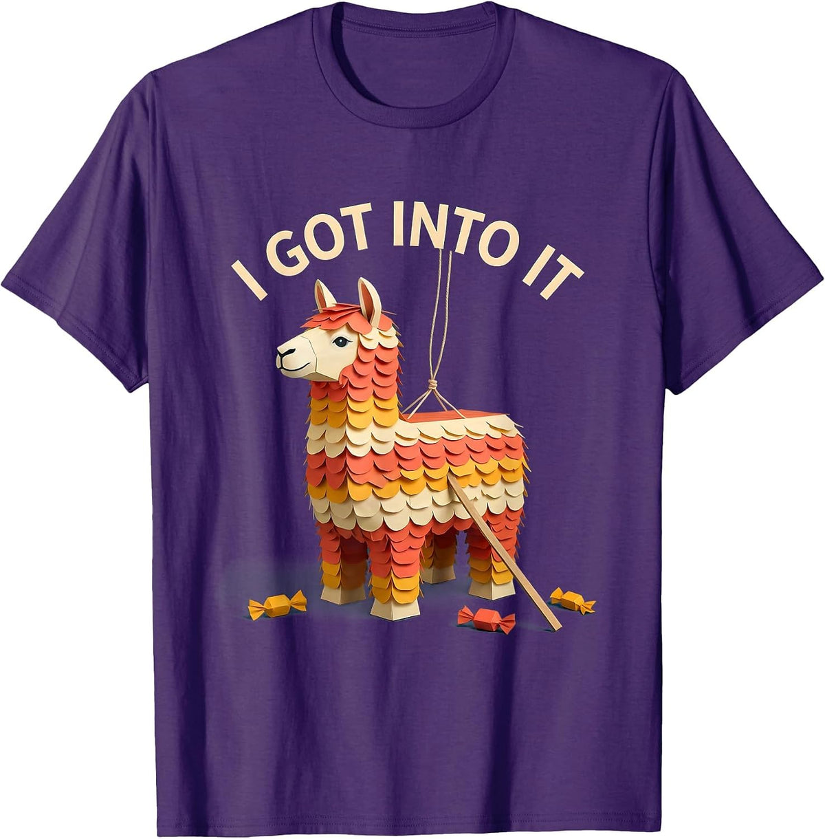 I Got Into It Funny Cinco De Mayo Piñata Party Costume T-Shirt - Purple