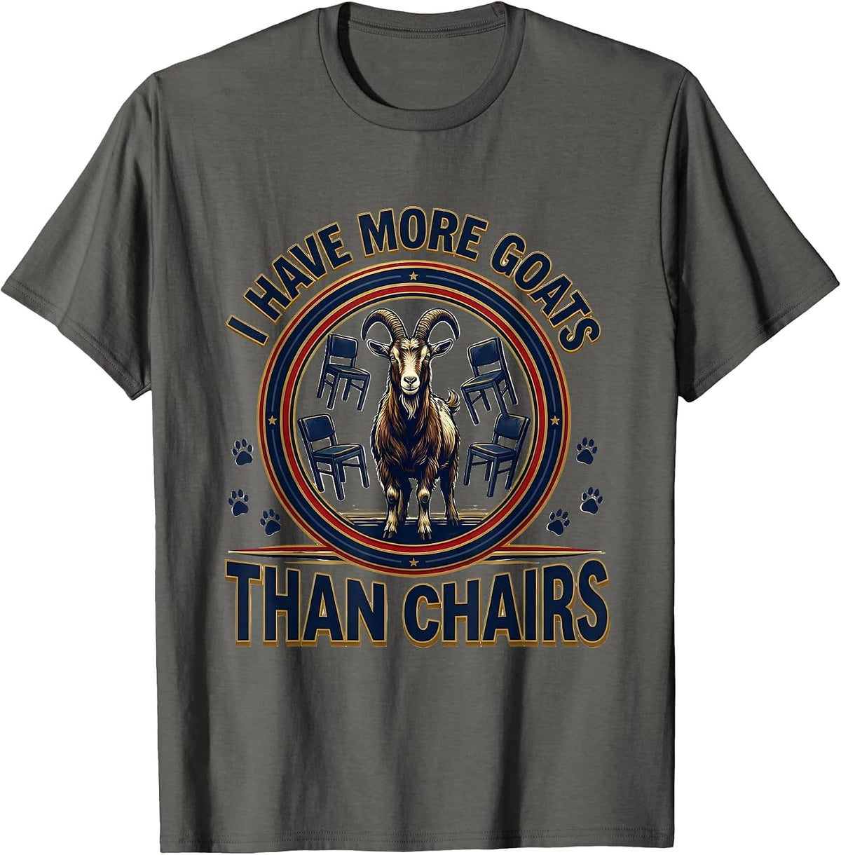 I Have More Goats Than Chairs Funny Goat Lover Farmer Humor T-Shirt - Asphalt Grey
