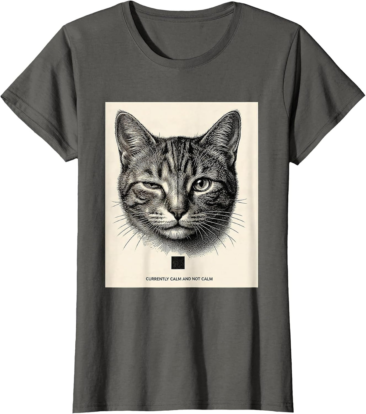 Women's Currently Calm And Not Calm Quantum Physics Humor Science T-Shirt - Asphalt Grey