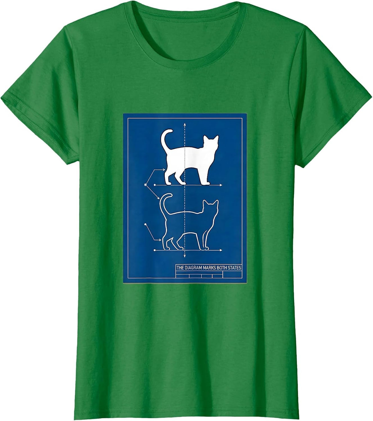 Women's The Diagram Marks Both States Technical Blueprint Physics T-Shirt - Kelly Green