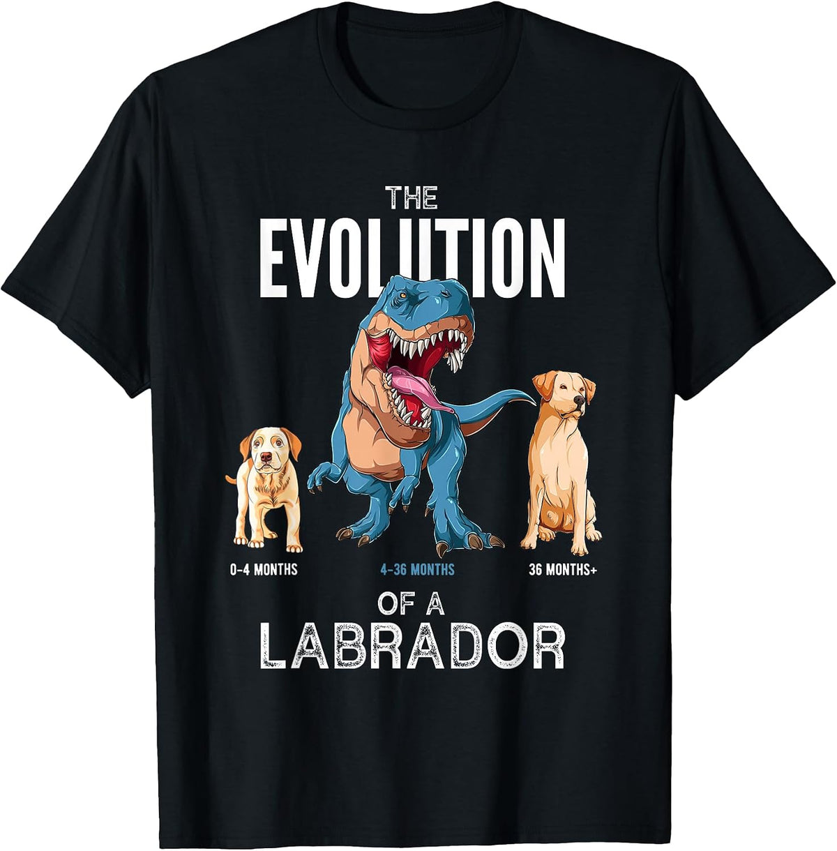 The Evolution of a Labrador or Evolution of Dogs T-Shirt, Men, Black, Small - As Pictured