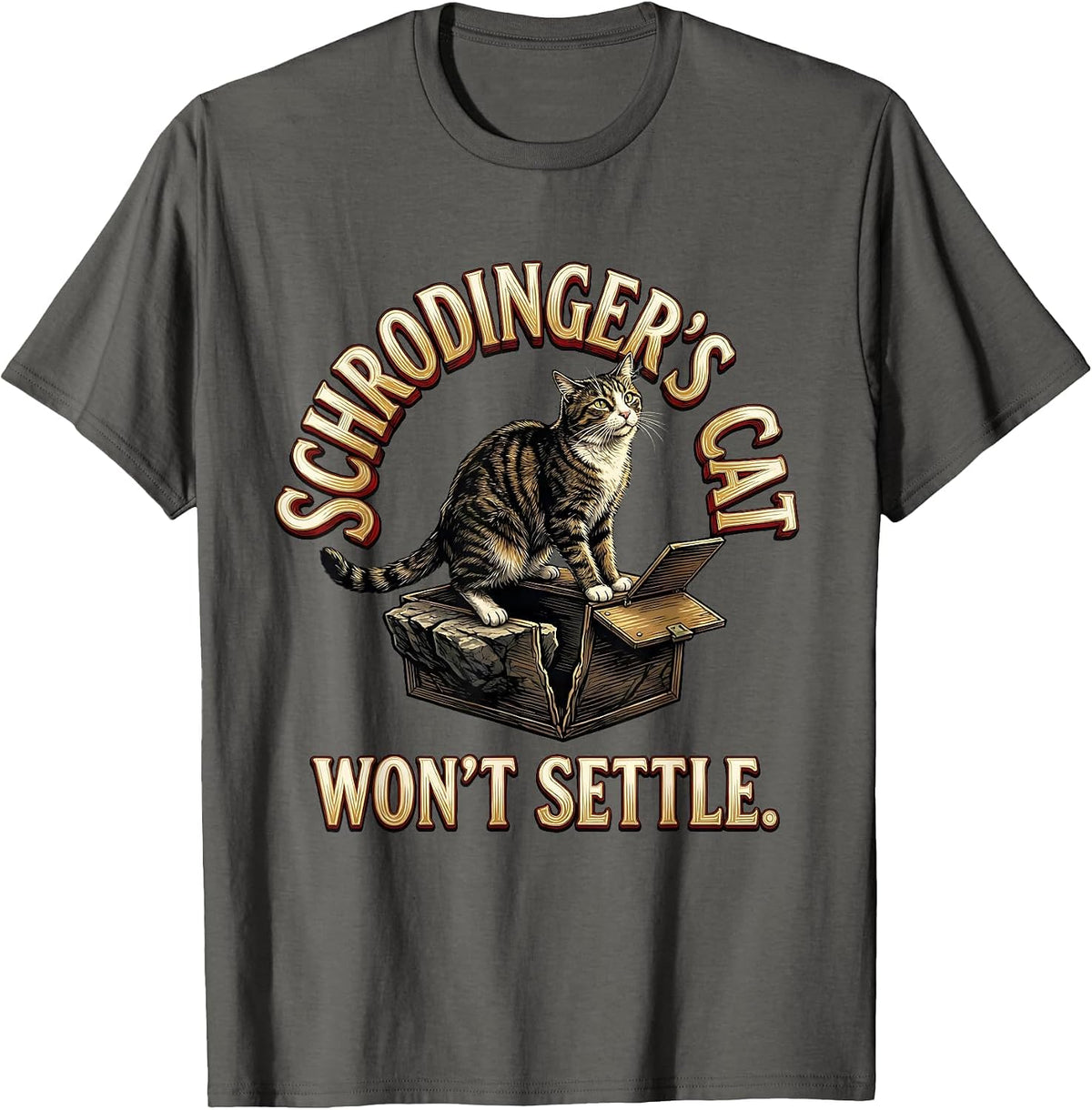 Schrodinger's Cat Won't Settle Funny Science Quantum Physics T-Shirt - Asphalt Grey