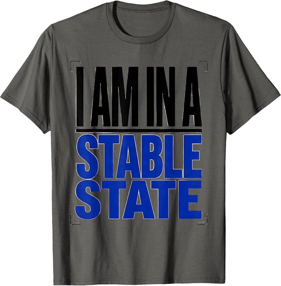 I Am In A Stable State Funny Chemistry Science Nerd Humor T-Shirt - Asphalt Grey