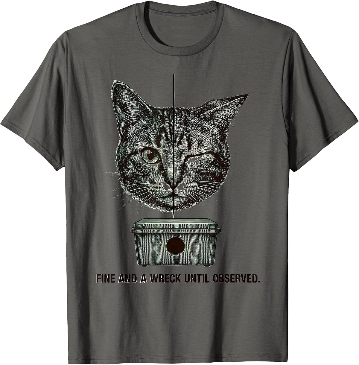 Fine and a Wreck Until Observed Quantum Physics Cat Humor T-Shirt - Asphalt Grey