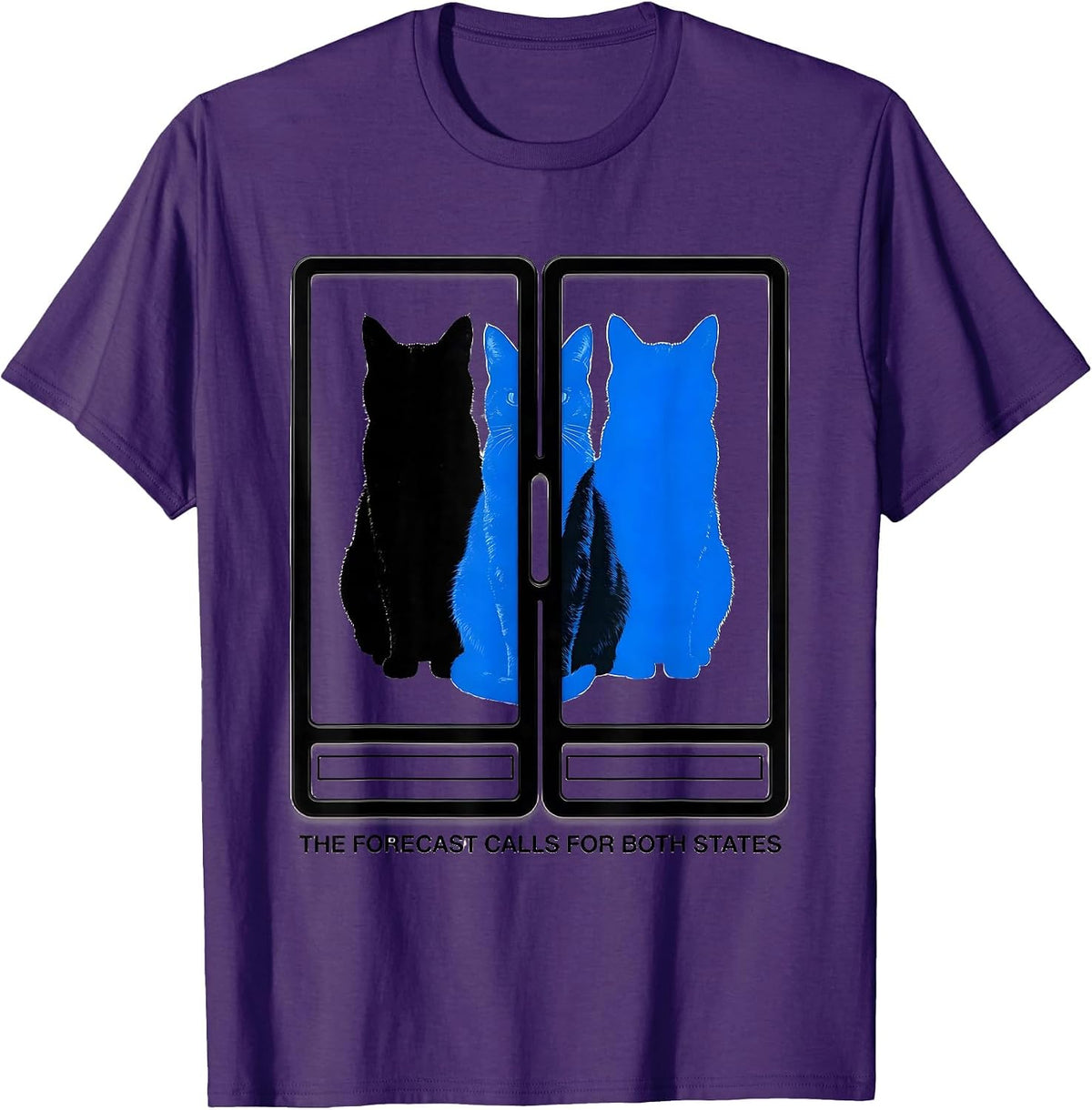 The Forecast Calls For Both States Funny Physics Nerd Cat T-Shirt - Purple