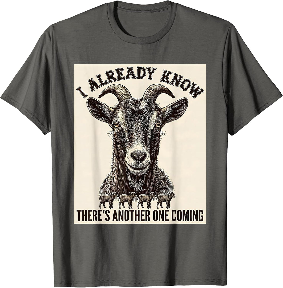 I Already Know There's Another One Coming Funny Goat Lover T-Shirt - Asphalt Grey