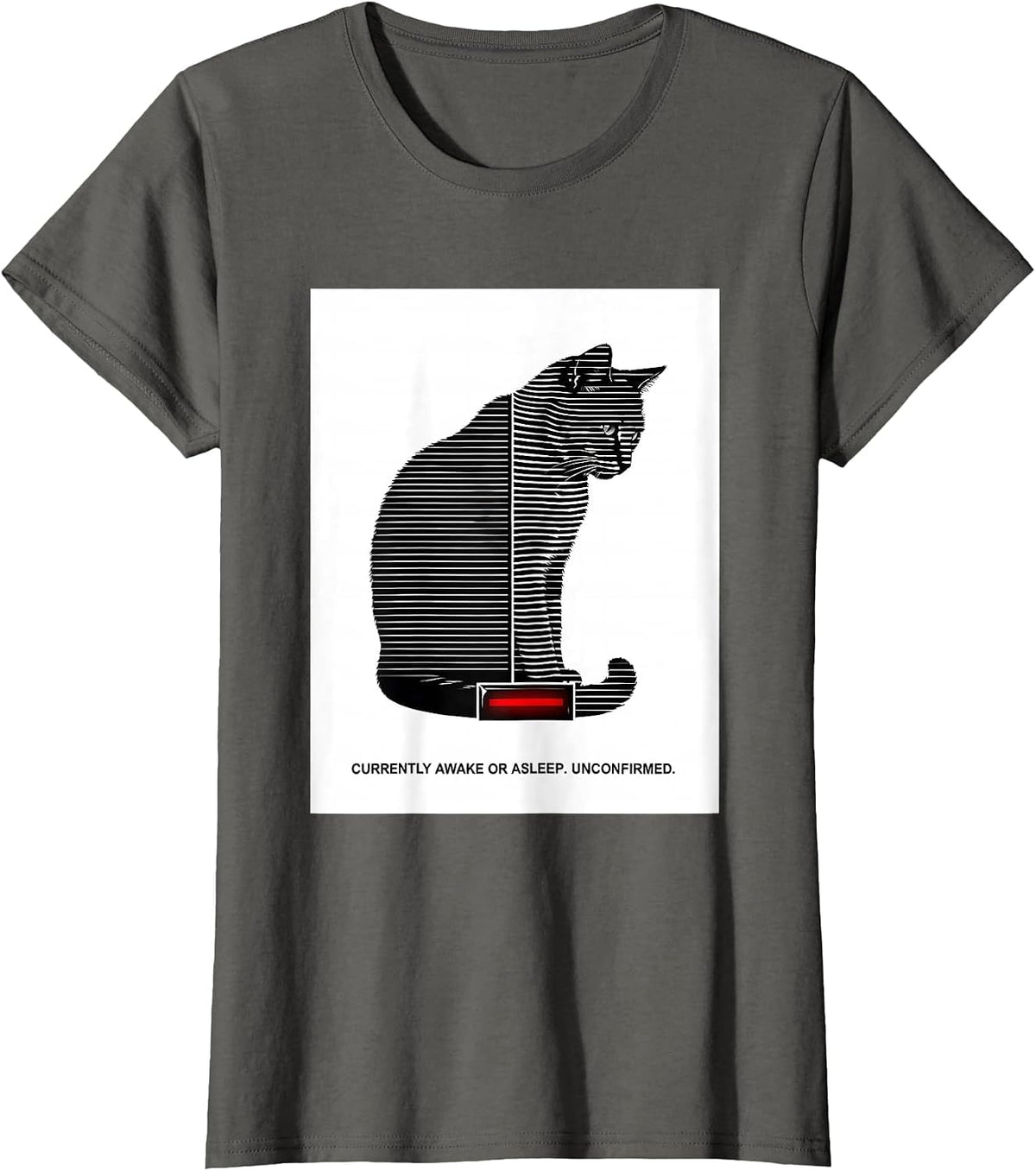 Women's Currently Awake Or Asleep Unconfirmed Quantum Physics Humor T-Shirt - Asphalt Grey