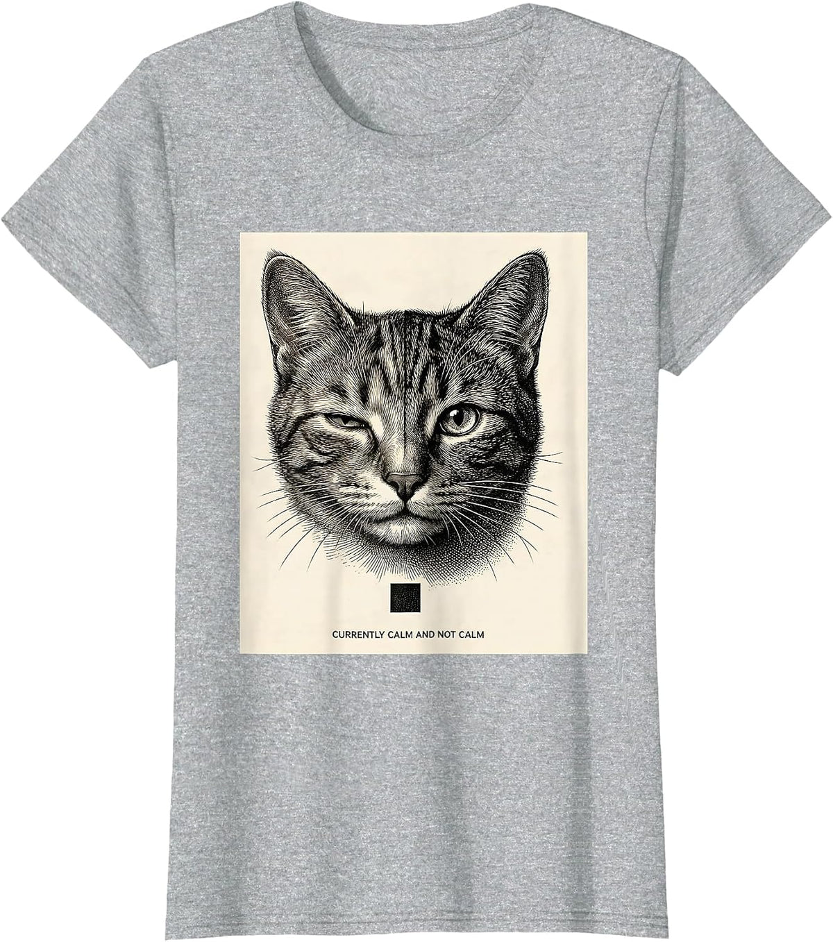 Women's Currently Calm And Not Calm Quantum Physics Humor Science T-Shirt - Heather Grey