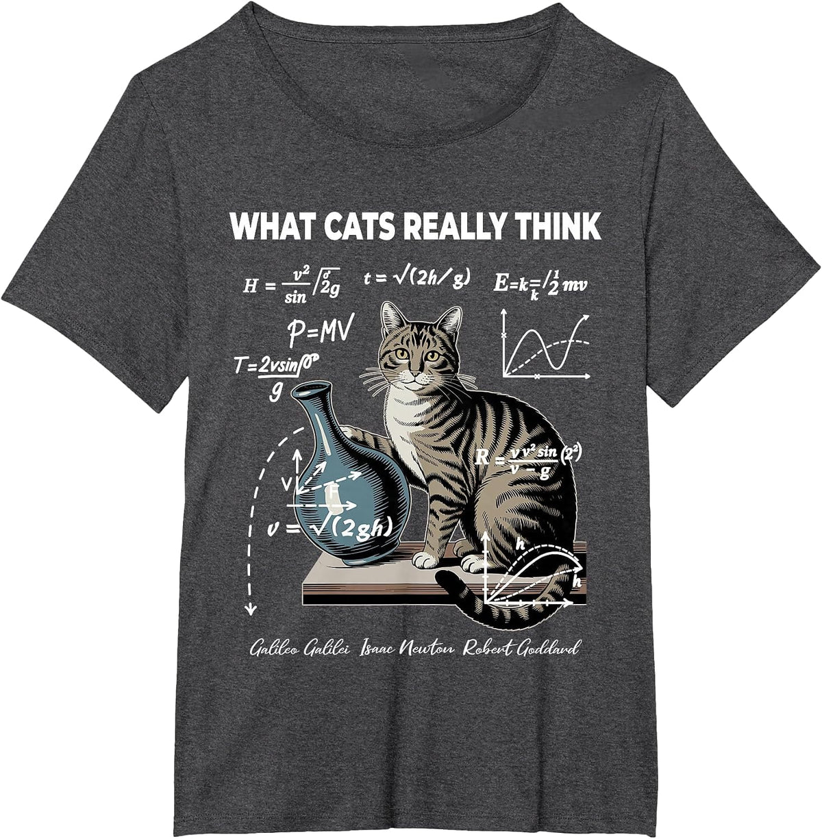 Funny Cat Physics Math Joke What Cats Really Think T-Shirt - Dark Heather Grey