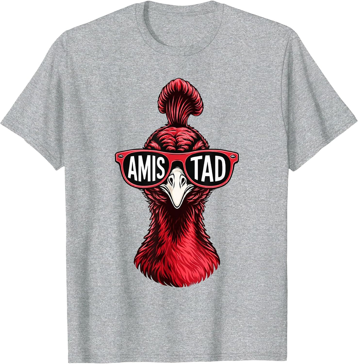 Amistad House of Friendship, School Spirit Teachers T-Shirt - Heather Grey