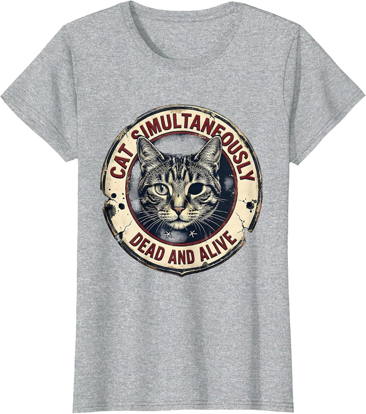 Cat Simultaneously Dead And Alive Vintage Quantum Physics T-Shirt - Heather Grey