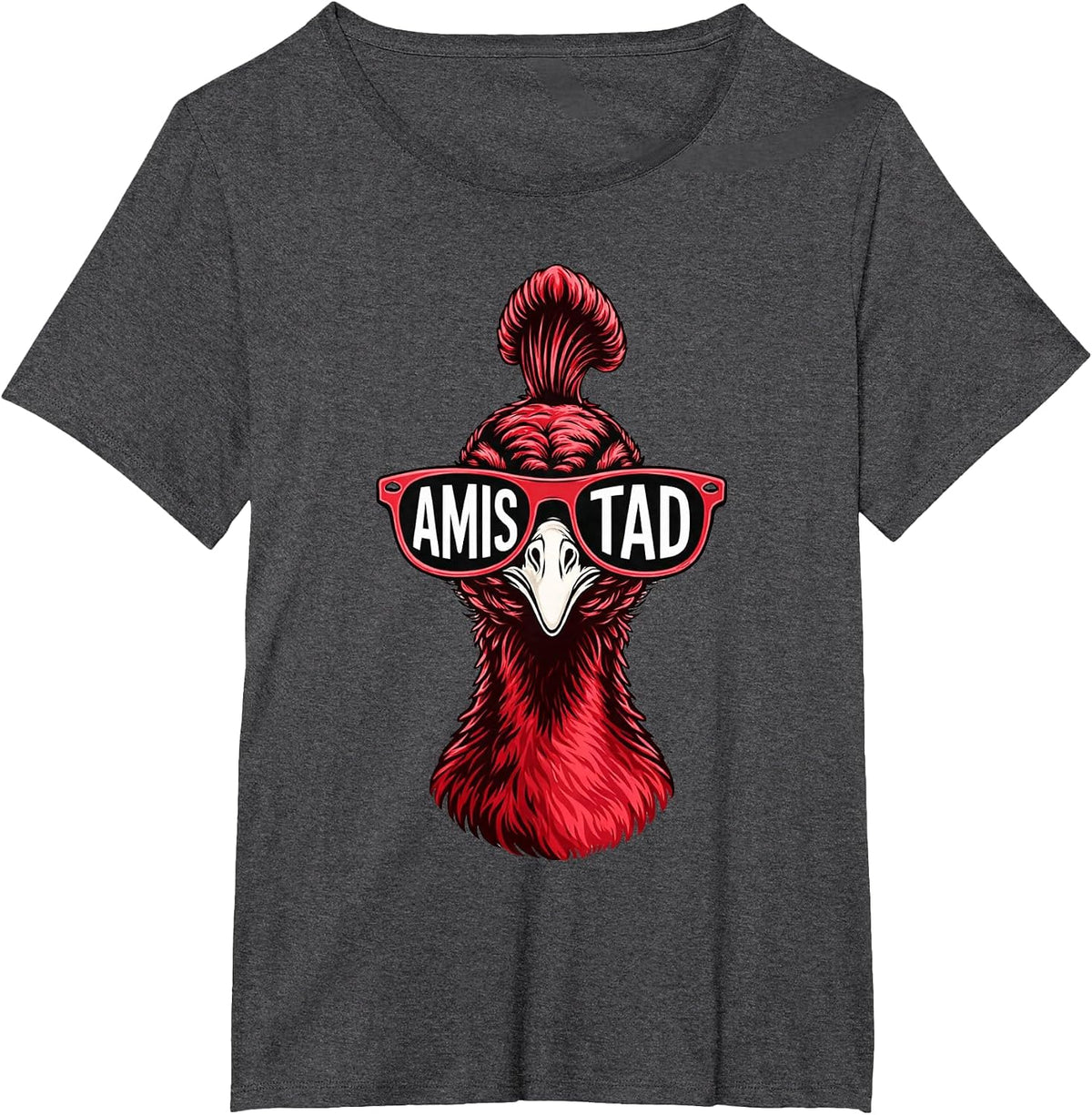 Amistad House of Friendship, School Spirit Teachers T-Shirt - Dark Heather Grey