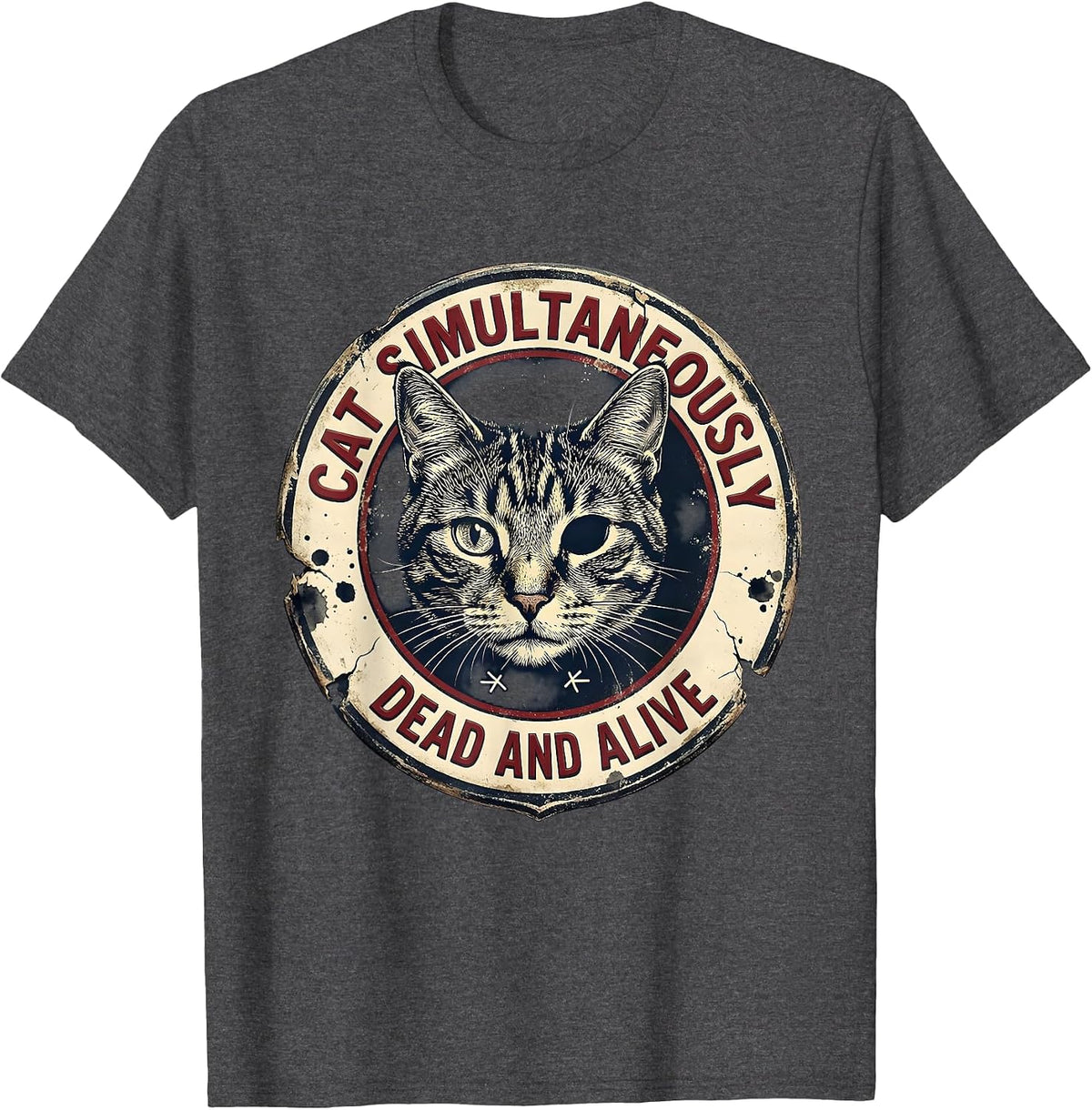 Cat Simultaneously Dead And Alive Vintage Quantum Physics T-Shirt - Dark Heather Grey