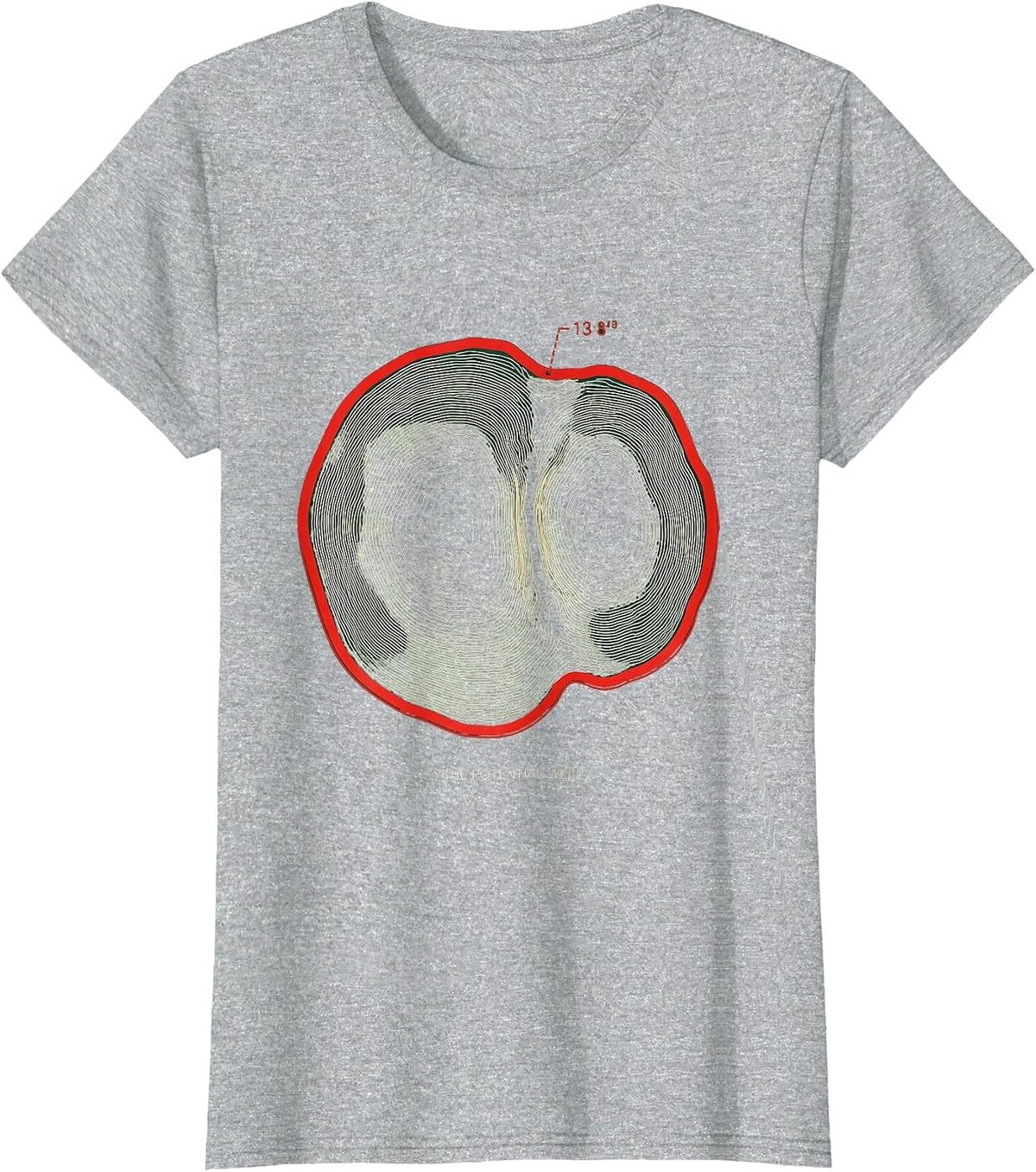 The Potential Well Quantum Physics Science Enthusiast Nerdy T-Shirt - Heather Grey