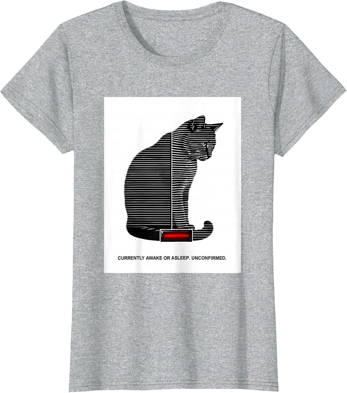 Women's Currently Awake Or Asleep Unconfirmed Quantum Physics Humor T-Shirt - Heather Grey
