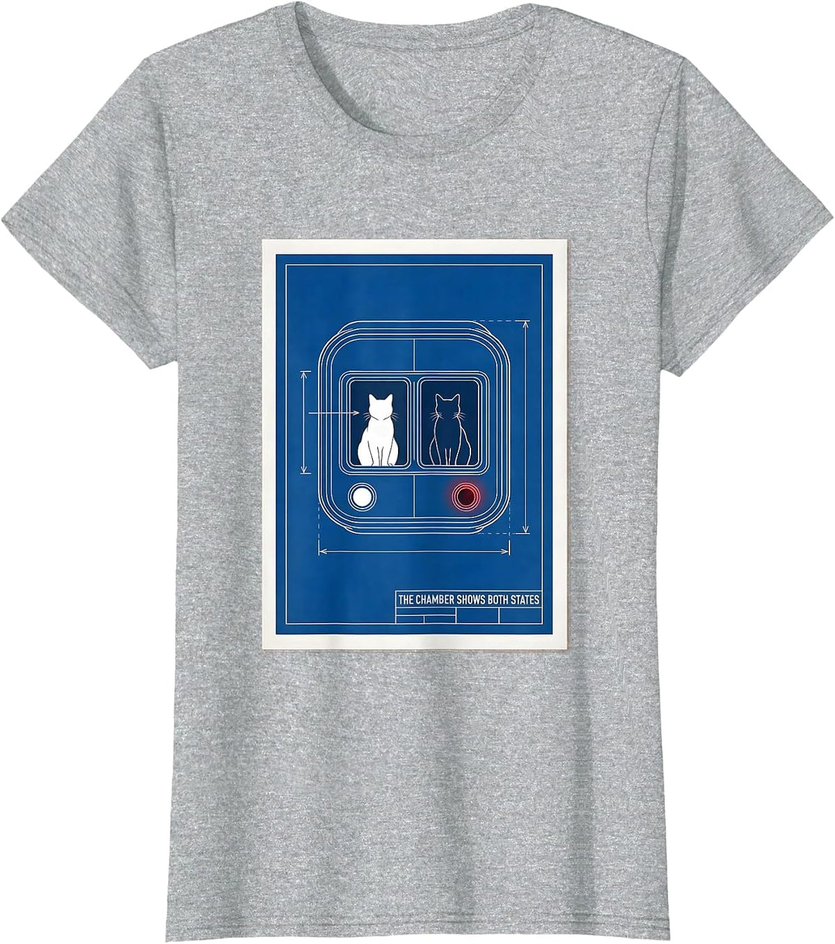The Chamber Shows Both States Physics Nerd Humor T-Shirt - Heather Grey