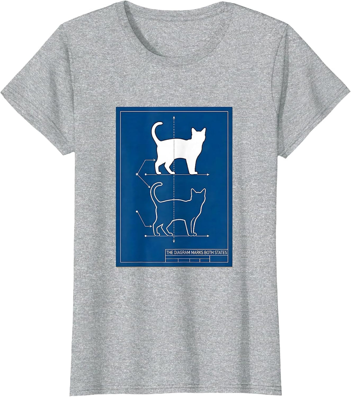 Women's The Diagram Marks Both States Technical Blueprint Physics T-Shirt - Heather Grey