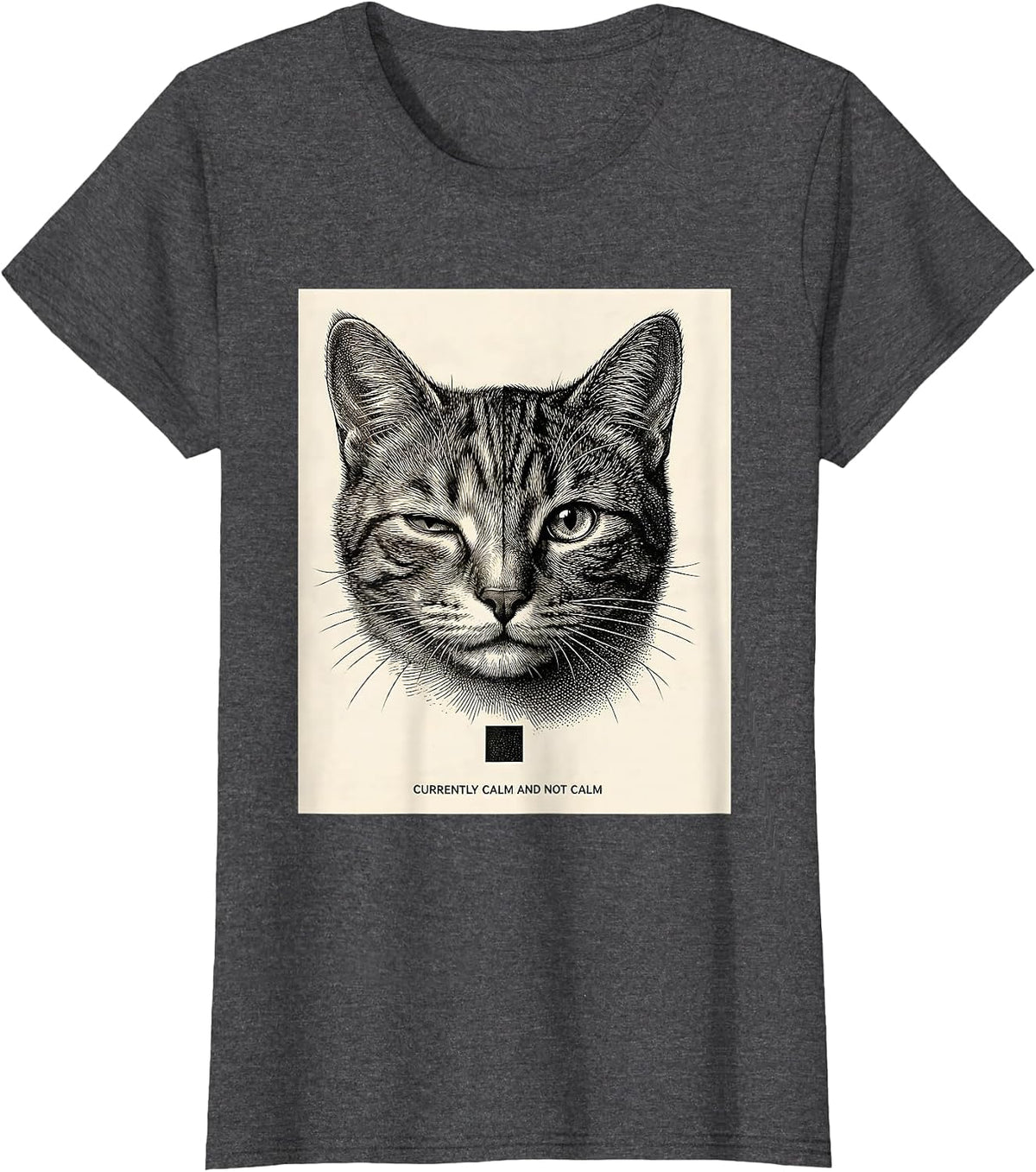 Women's Currently Calm And Not Calm Quantum Physics Humor Science T-Shirt - Dark Heather Grey