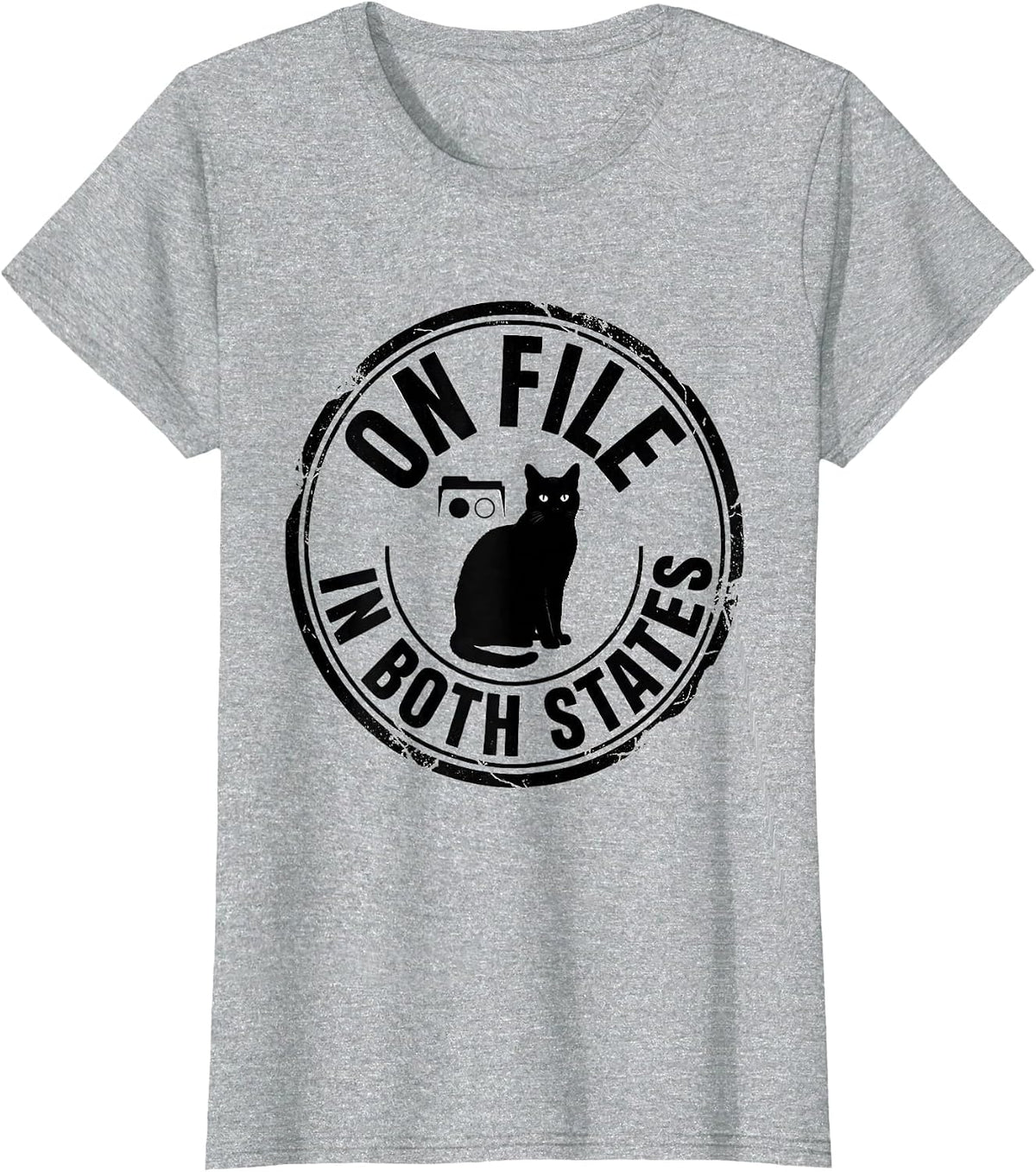 On File In Both States Physics Nerd Cat Lover Quantum Humor T-Shirt - Heather Grey