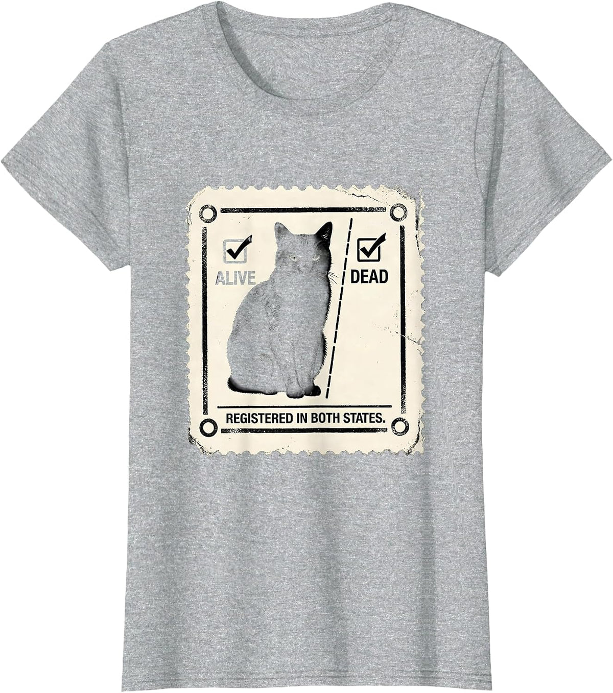 Registered In Both States Rubber Stamp Physics Nerd Humor T-Shirt - Heather Grey