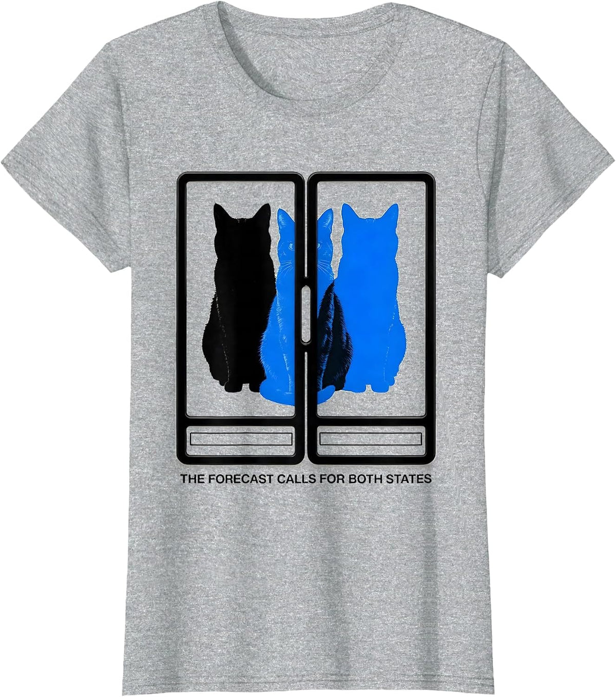 The Forecast Calls For Both States Funny Physics Nerd Cat T-Shirt - Heather Grey