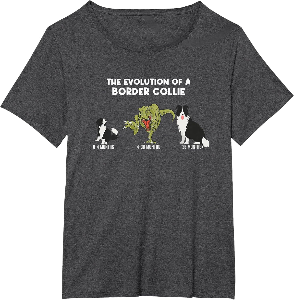 Border Collie Dog Mom The Evolution of A Border Collie T-Shirt - Dark Heather Grey