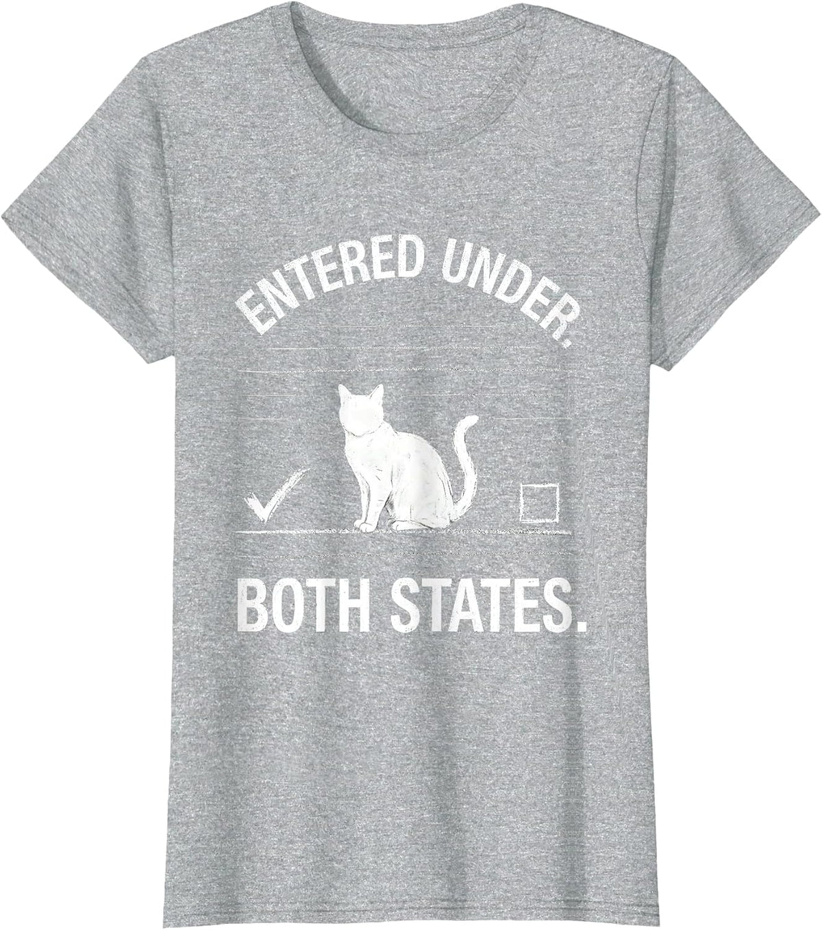 Women's Entered Under Both States Funny Physics Nerd Cat Lover T-Shirt - Heather Grey