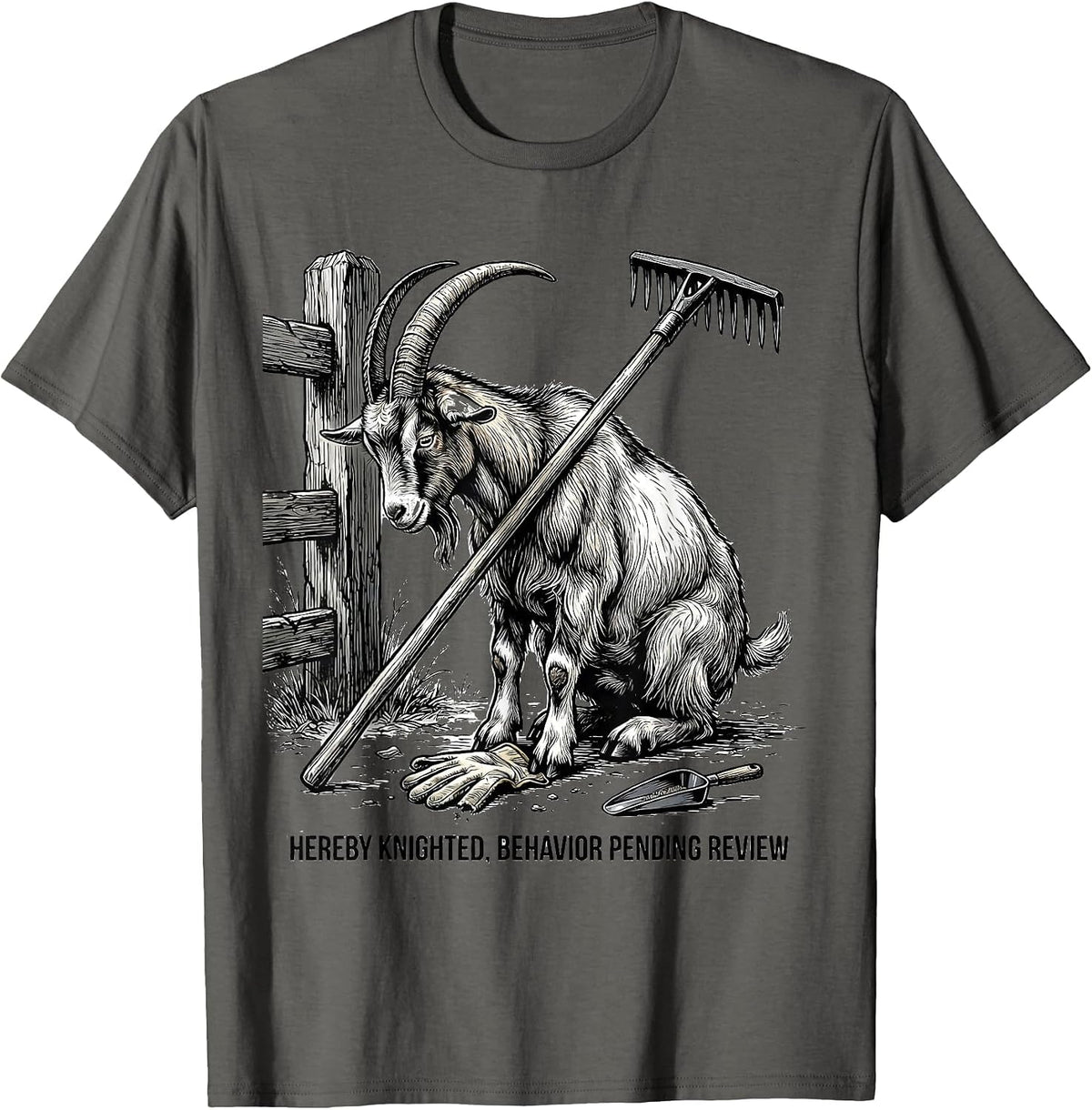 Hereby Knighted Behavior Pending Review Funny Goat Lover T-Shirt - Asphalt Grey